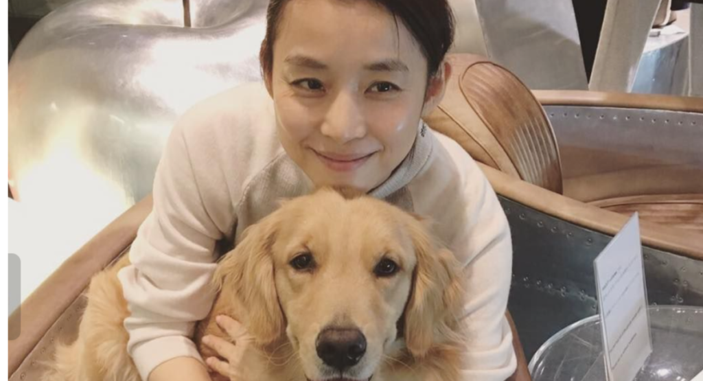 石田ゆり子と犬