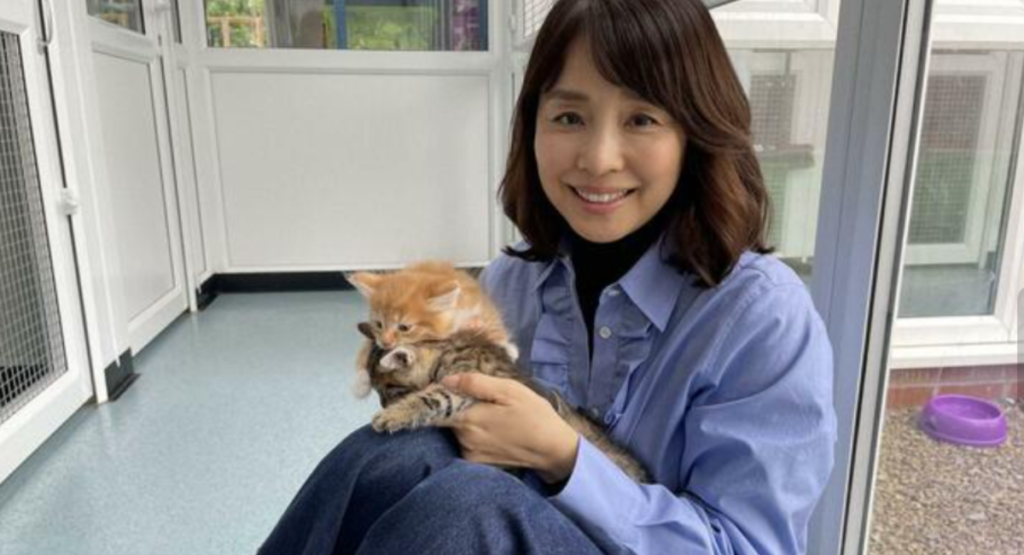 石田ゆり子と猫